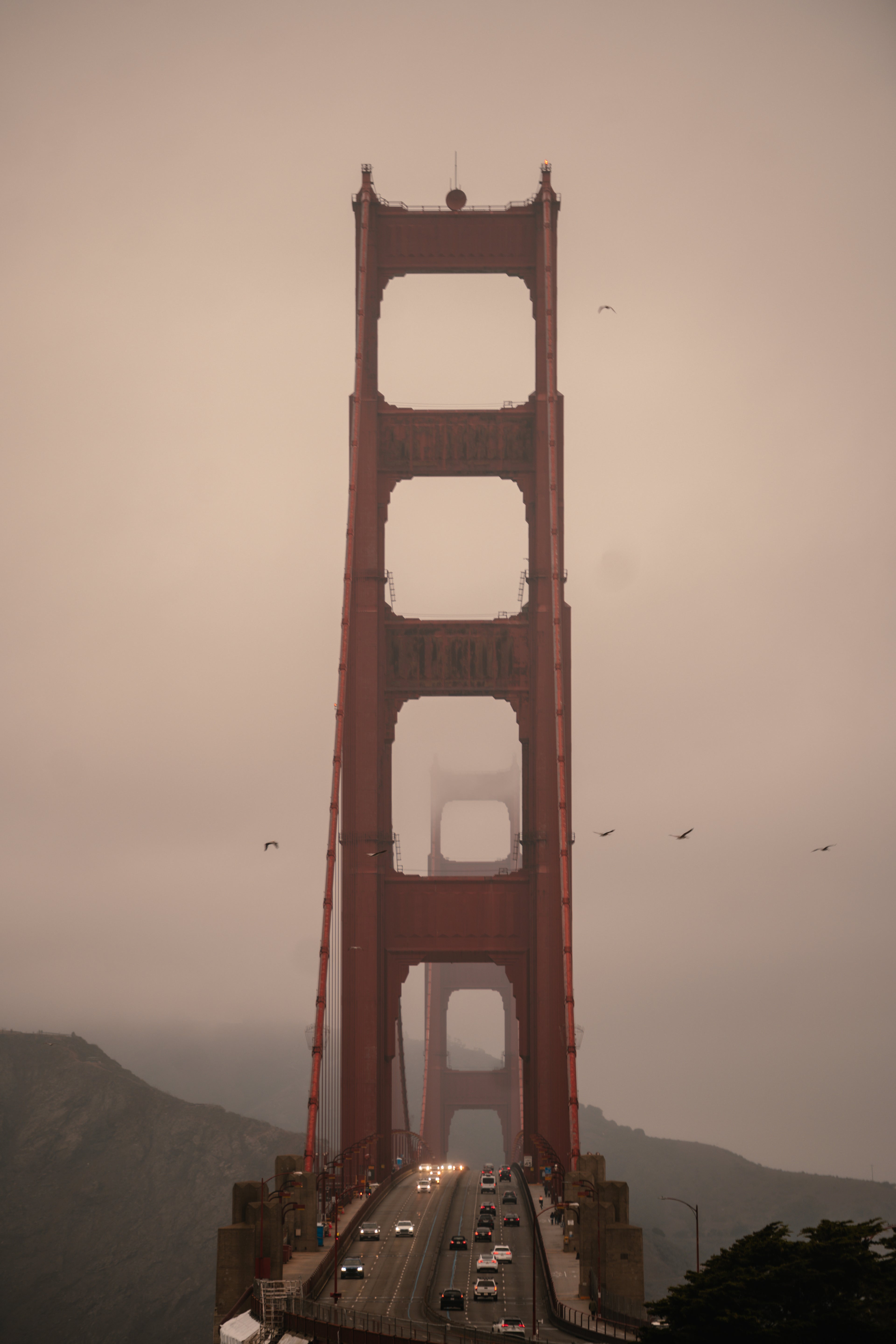 The Golden Brige Majesty - Fine Art Print